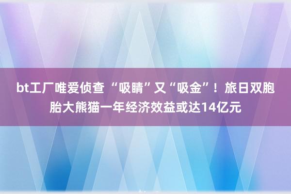 bt工厂唯爱侦查 “吸睛”又“吸金”！旅日双胞胎大熊猫一年经济效益或达14亿元