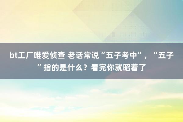 bt工厂唯爱侦查 老话常说“五子考中”，“五子”指的是什么？看完你就昭着了