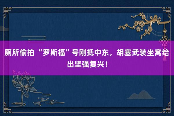 厕所偷拍 “罗斯福”号刚抵中东，胡塞武装坐窝给出坚强复兴！