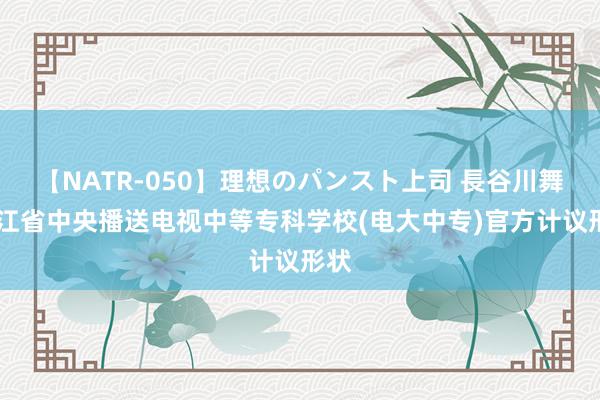 【NATR-050】理想のパンスト上司 長谷川舞 浙江省中央播送电视中等专科学校(电大中专)官方计议形状