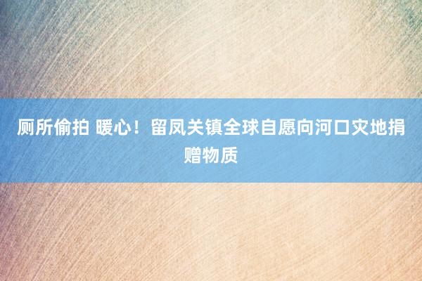 厕所偷拍 暖心！留凤关镇全球自愿向河口灾地捐赠物质