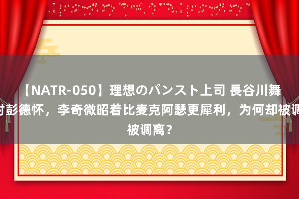 【NATR-050】理想のパンスト上司 長谷川舞 面对彭德怀，李奇微昭着比麦克阿瑟更犀利，为何却被调离？