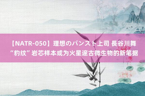 【NATR-050】理想のパンスト上司 長谷川舞 “豹纹”岩芯样本或为火星邃古微生物的新笔据