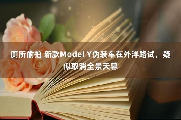 厕所偷拍 新款Model Y伪装车在外洋路试，疑似取消全景天幕