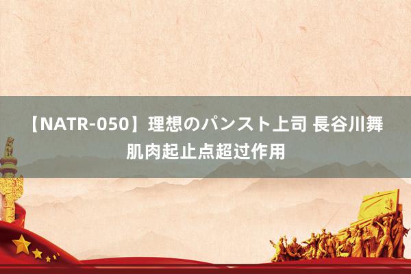 【NATR-050】理想のパンスト上司 長谷川舞 肌肉起止点超过作用