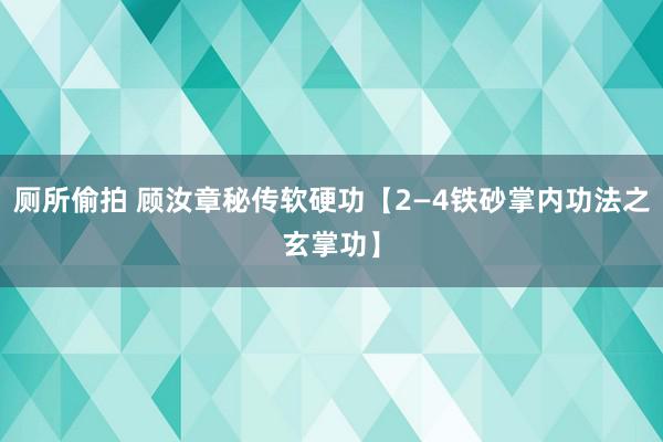 厕所偷拍 顾汝章秘传软硬功【2—4铁砂掌内功法之玄掌功】