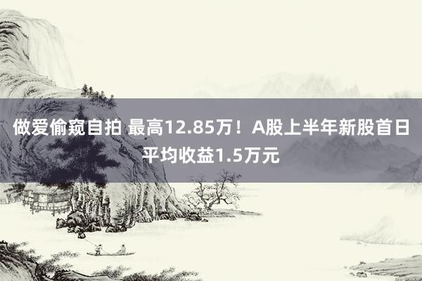 做爱偷窥自拍 最高12.85万！A股上半年新股首日平均收益1.5万元