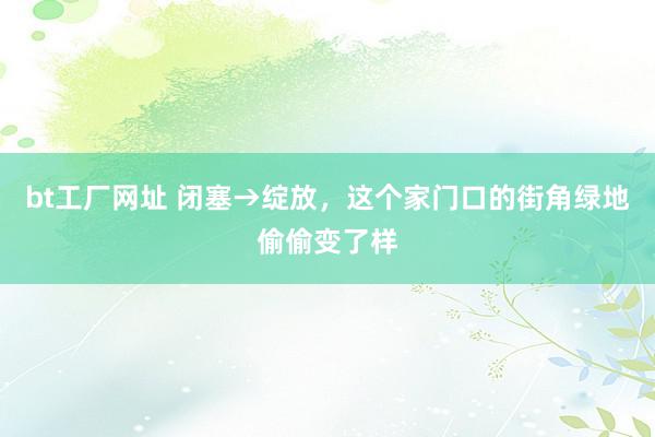 bt工厂网址 闭塞→绽放，这个家门口的街角绿地偷偷变了样