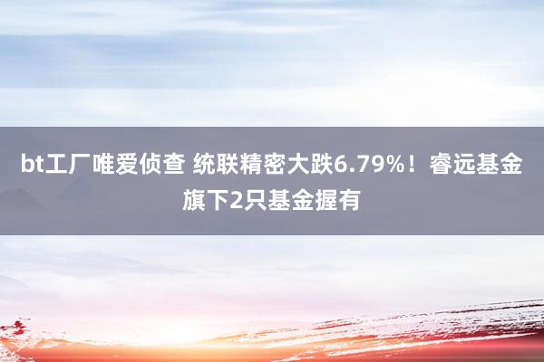 bt工厂唯爱侦查 统联精密大跌6.79%！睿远基金旗下2只基金握有