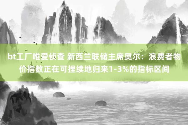 bt工厂唯爱侦查 新西兰联储主席奥尔：浪费者物价指数正在可捏续地归来1-3%的指标区间