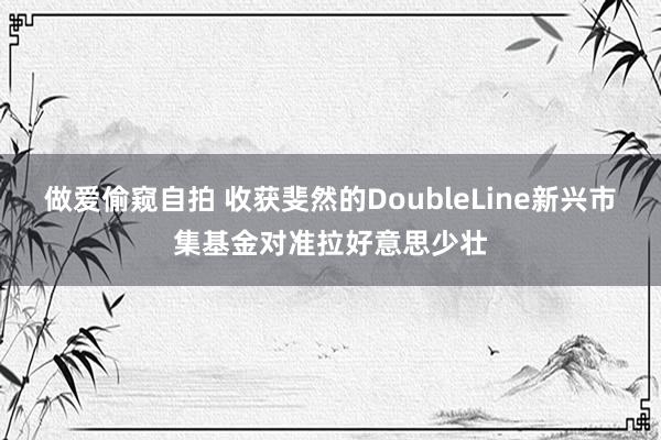 做爱偷窥自拍 收获斐然的DoubleLine新兴市集基金对准拉好意思少壮