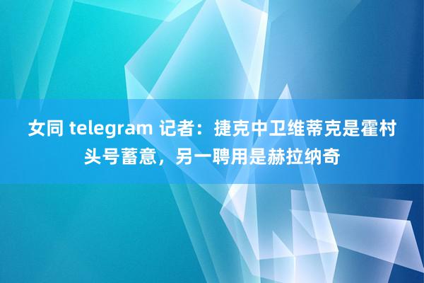 女同 telegram 记者：捷克中卫维蒂克是霍村头号蓄意，另一聘用是赫拉纳奇