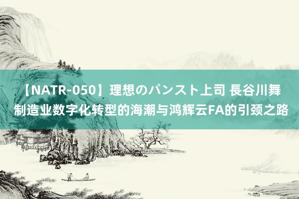 【NATR-050】理想のパンスト上司 長谷川舞 制造业数字化转型的海潮与鸿辉云FA的引颈之路