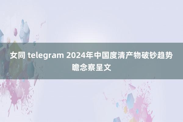 女同 telegram 2024年中国度清产物破钞趋势瞻念察呈文