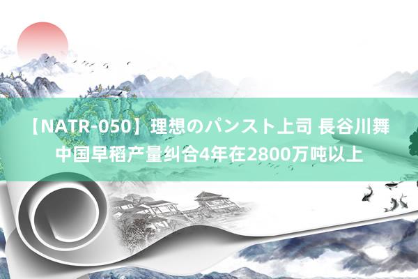 【NATR-050】理想のパンスト上司 長谷川舞 中国早稻产量纠合4年在2800万吨以上