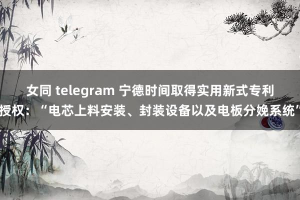 女同 telegram 宁德时间取得实用新式专利授权：“电芯上料安装、封装设备以及电板分娩系统”