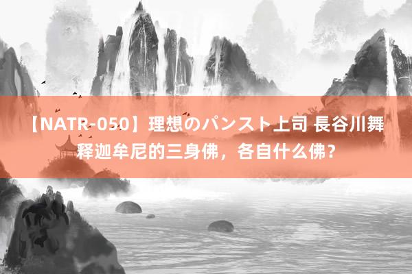 【NATR-050】理想のパンスト上司 長谷川舞 释迦牟尼的三身佛，各自什么佛？